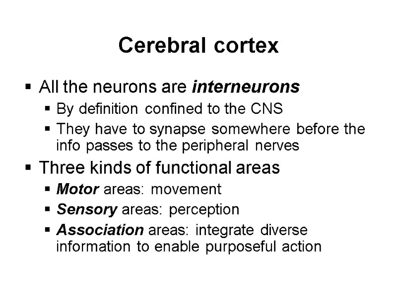 Cerebral cortex All the neurons are interneurons By definition confined to the CNS They